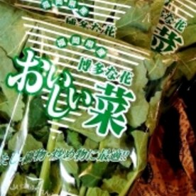 おいしい菜 の一番おいしい和え物 レシピ 作り方 By K5b4 楽天レシピ おいしい菜 の一番おいしい和え物 レシピ 作り方 By K5b4 楽天レシピ